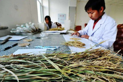 人人可參與，最高獎金12萬元 生物農藥技術研發新機遇