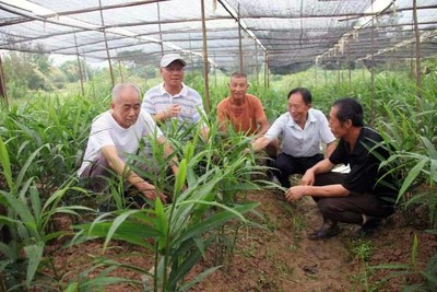 農(nóng)業(yè)文化遺產(chǎn)活態(tài)保護與利用研究獲重要成果